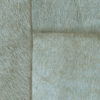 Appaloosa VP 618 16